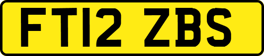 FT12ZBS