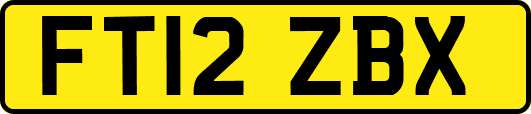 FT12ZBX