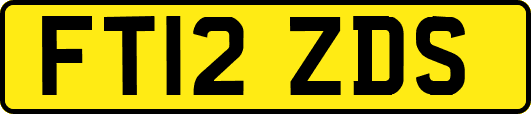 FT12ZDS