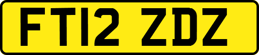 FT12ZDZ