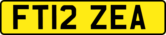 FT12ZEA
