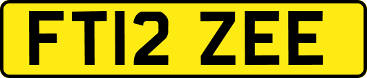 FT12ZEE