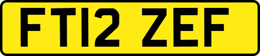 FT12ZEF
