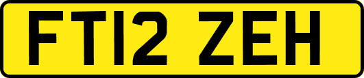 FT12ZEH