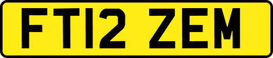 FT12ZEM