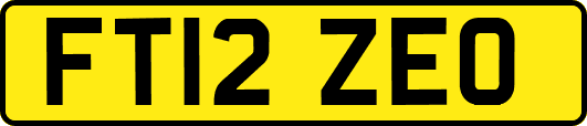 FT12ZEO