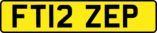 FT12ZEP