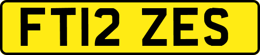 FT12ZES