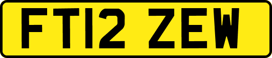 FT12ZEW