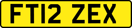 FT12ZEX