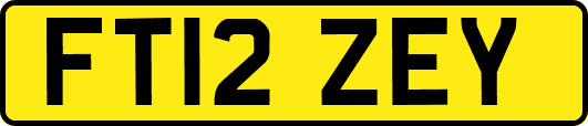 FT12ZEY