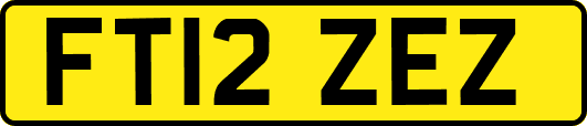 FT12ZEZ