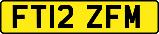 FT12ZFM
