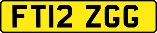 FT12ZGG