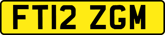 FT12ZGM