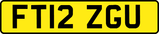 FT12ZGU