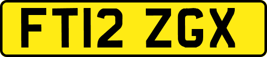 FT12ZGX