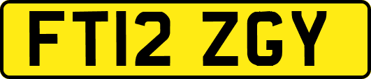 FT12ZGY