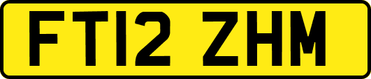 FT12ZHM