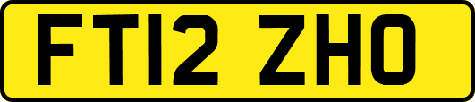 FT12ZHO