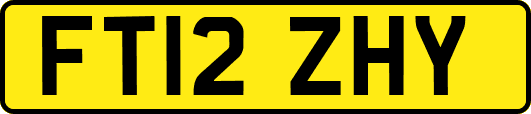 FT12ZHY