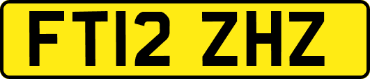 FT12ZHZ