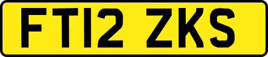 FT12ZKS