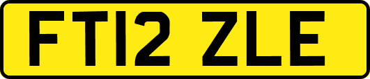 FT12ZLE