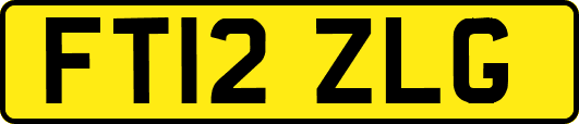 FT12ZLG