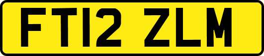 FT12ZLM
