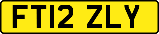 FT12ZLY