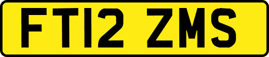 FT12ZMS