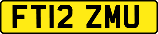 FT12ZMU