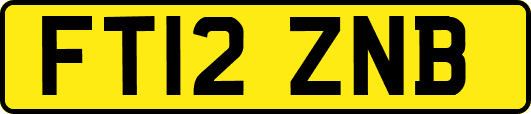 FT12ZNB