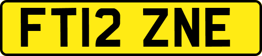 FT12ZNE