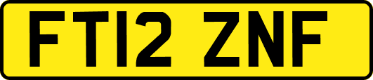FT12ZNF