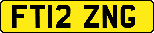 FT12ZNG