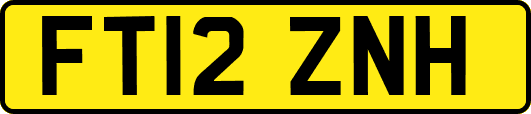 FT12ZNH