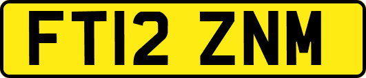 FT12ZNM
