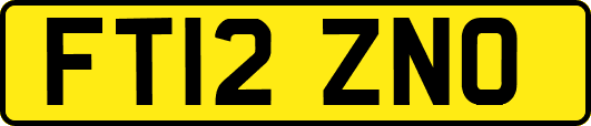 FT12ZNO