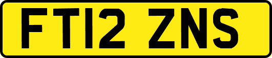 FT12ZNS