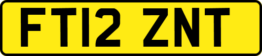 FT12ZNT