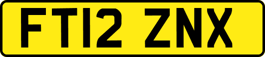 FT12ZNX