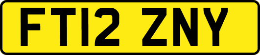 FT12ZNY
