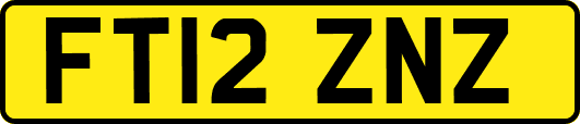 FT12ZNZ