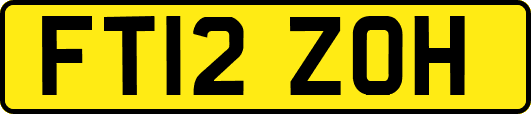FT12ZOH