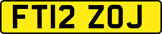 FT12ZOJ