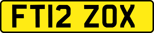 FT12ZOX