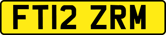 FT12ZRM