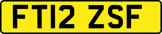 FT12ZSF